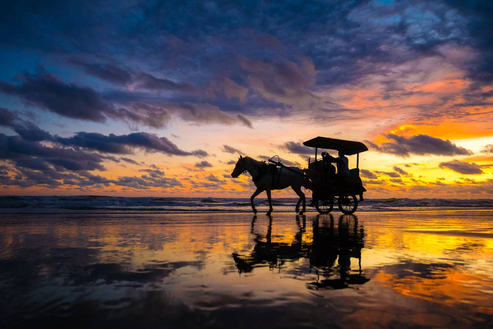 Pantai Parangtritis