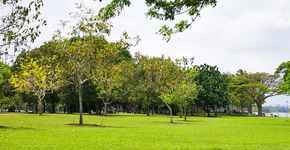 Hotels in Loyang Avenue