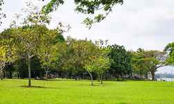 Hotels in Loyang Avenue