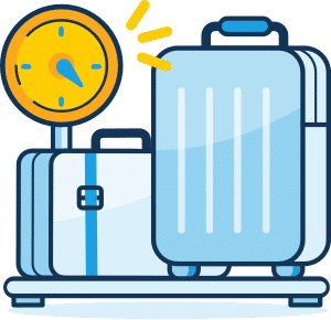 extra bolsagage turkish airlines price