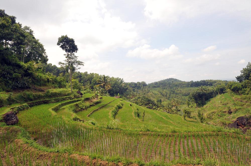 Gunung Kidul