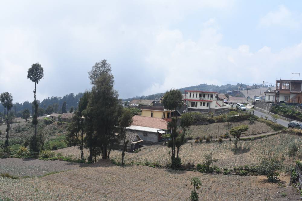 Penginapan di Bromo