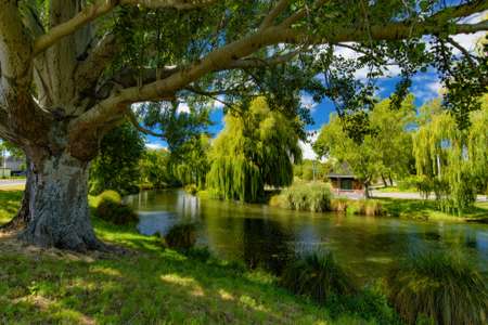 Thành phố Christchurch
