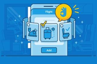 Perkhidmatan Tambahan Penerbangan