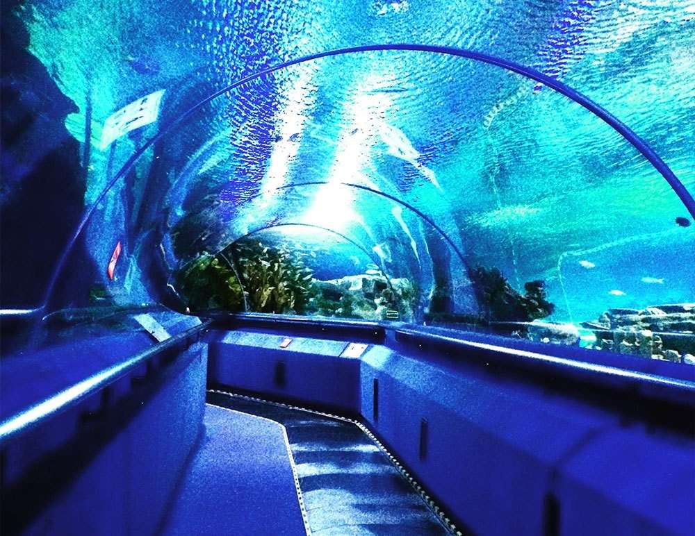 Klcc aquaria Harga Tiket