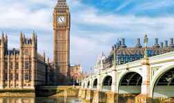 Apartments in 泽西岛