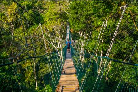 Vườn Quốc gia Ulu Temburong