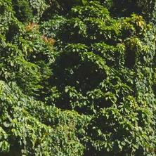 Robinsons Place Iligan