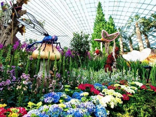 vé Gardens By The Bay