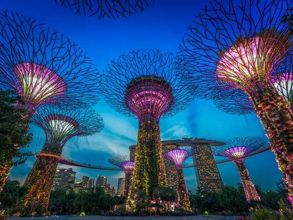 Gardens By The Bay