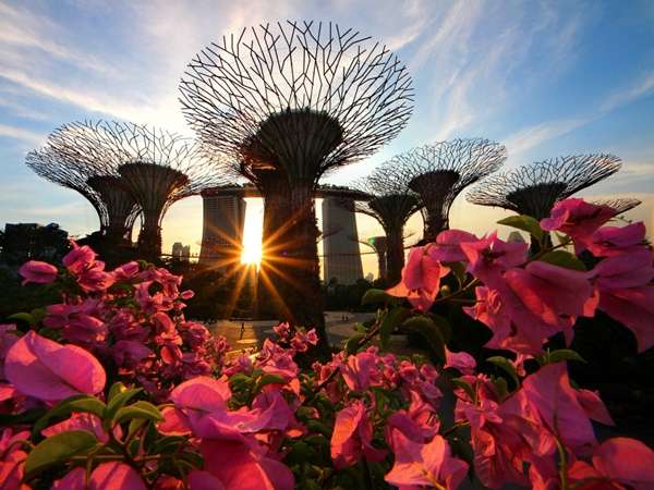 Gardens By The Bay