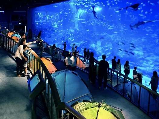 S.E.A aquarium