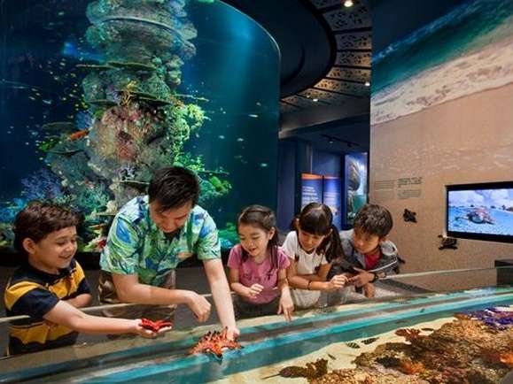 Vé S.E.A Aquarium