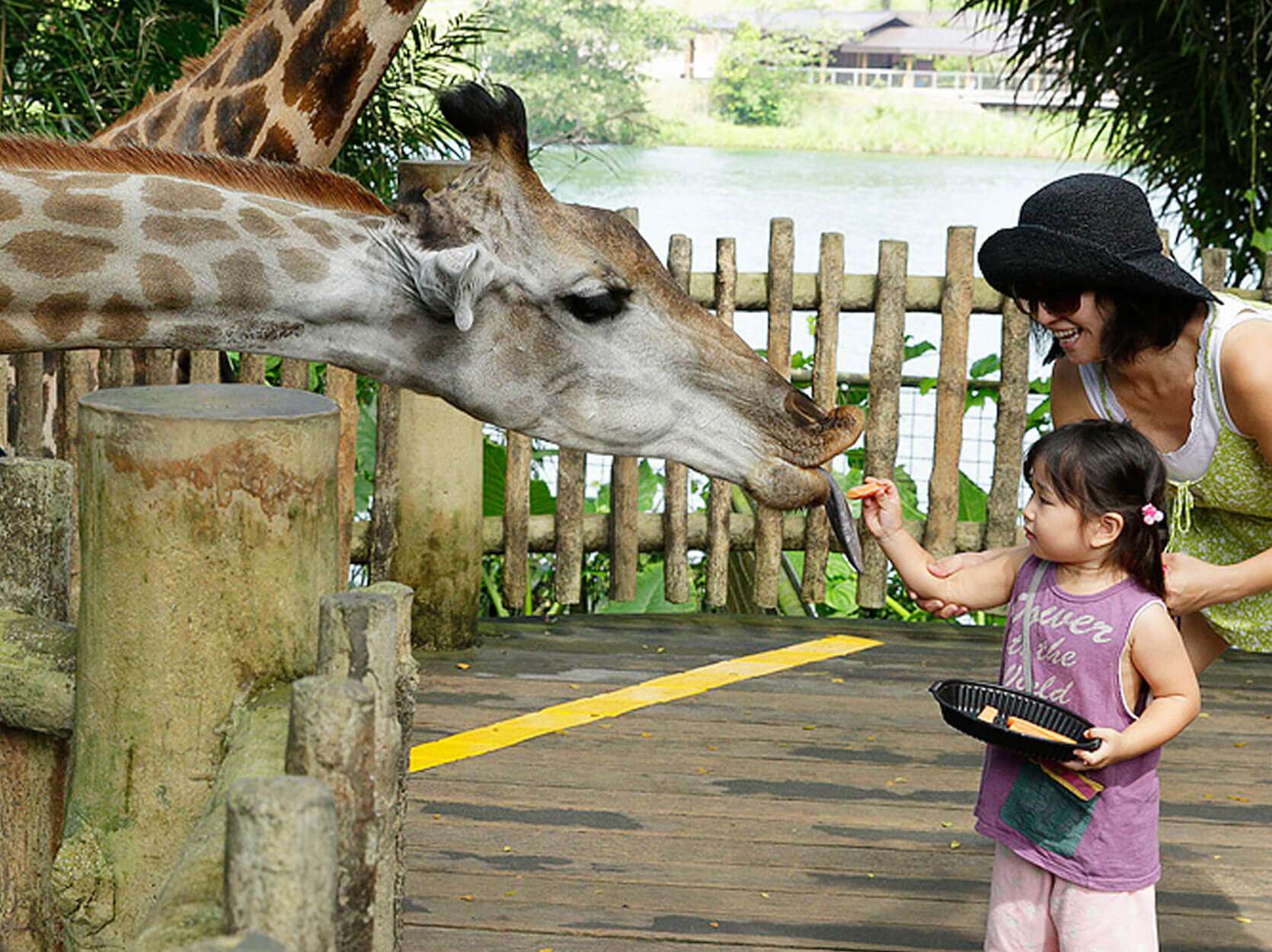 Singapore Zoo Ticket Price