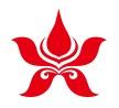 Hongkong Airlines