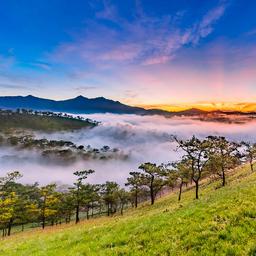 TP HCM - Đà Lạt, Giá tốt nhất từ