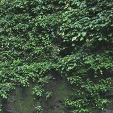 Vonwelt Cafe and Restaurant - Sampaloc Pagsanjan Branch