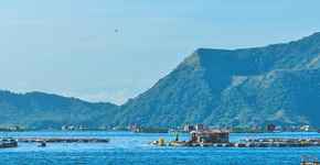 Hotels in Poblacion
