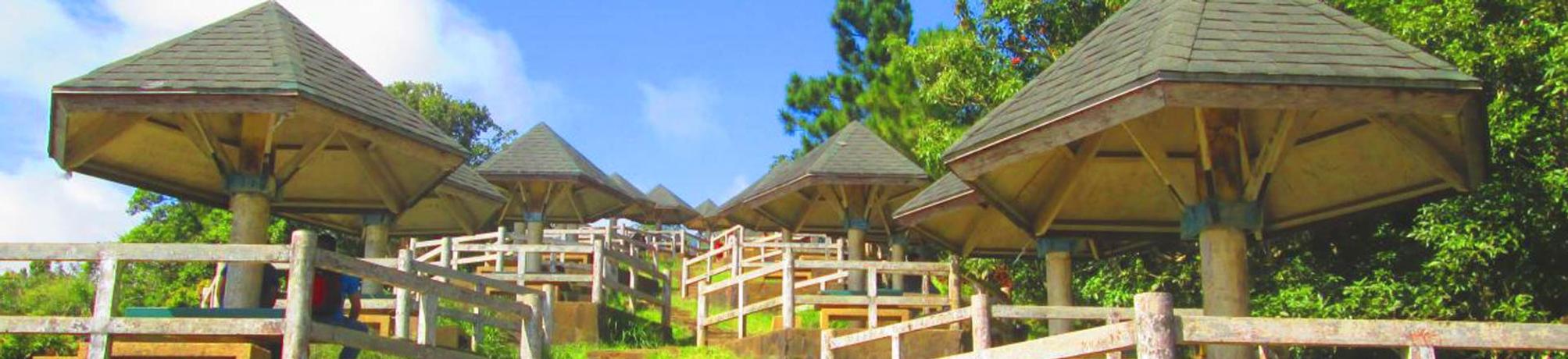 Hotel & Accommodation in Picnic Grove