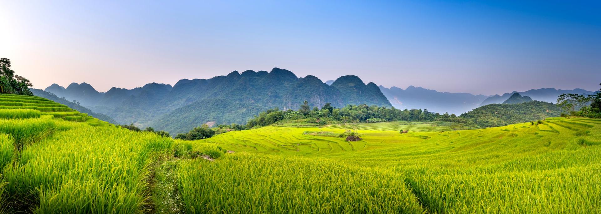 Tủ áo cánh đục hoa lá tây hương đá: Tủ áo cánh đục hoa lá tây hương đá mang lại vẻ đẹp truyền thống và sang trọng cho mọi phòng ngủ. Với những chi tiết hoa lá tây hương đá độc đáo và tinh tế, chiếc tủ này sẽ là điểm nhấn cho mọi không gian nội thất. Hãy bấm vào hình ảnh để khám phá sự kết hợp giữa hoa lá tây hương đá và gỗ kỳ diệu của chiếc tủ này!