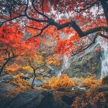 วัดพระแก้ว