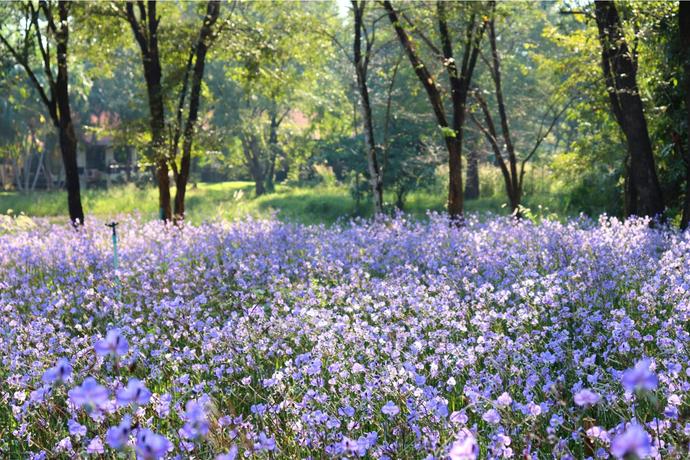 โรงแรม & ที่พัก ปราจีนบุรี