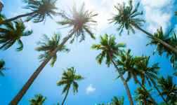 โรงแรม ใน ท่าโพ