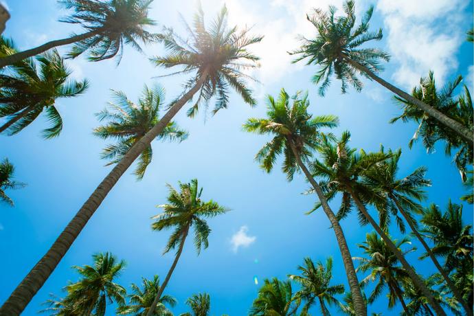 โรงแรม & ที่พัก อุทัยธานี