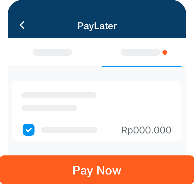 Paylater Limit