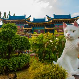 Kuala Lumpur - Kuching, 23 Jan 2026