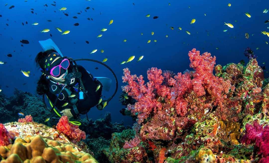 vé máy bay đi LangKawi