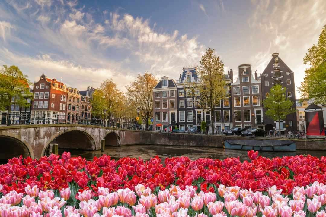 mùa du lịch ở Amsterdam