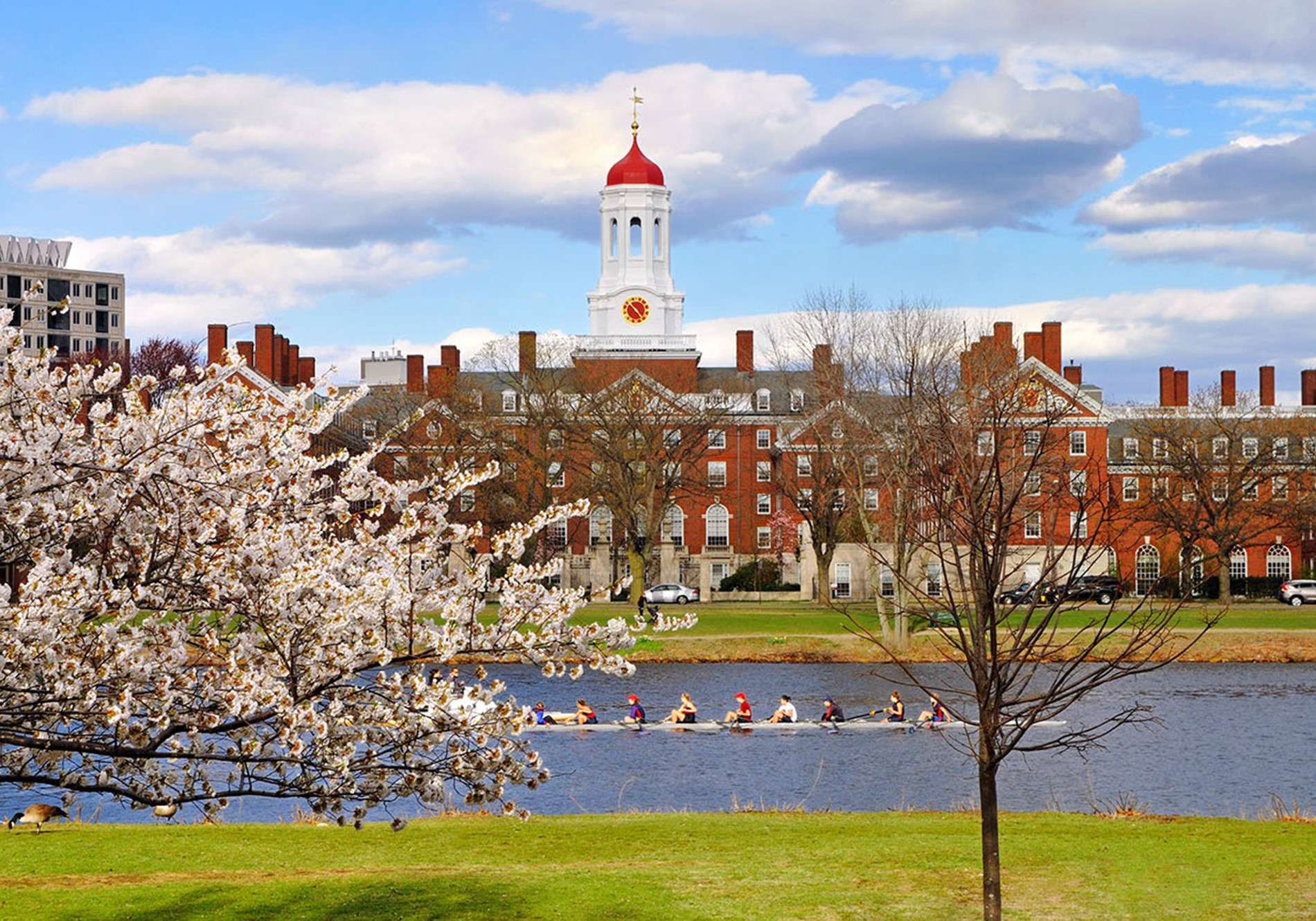 đại học Harvard