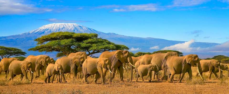 vé máy bay đi Tanzania