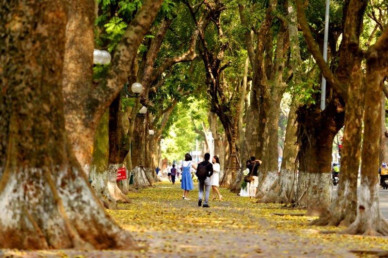 mua thu ha noi