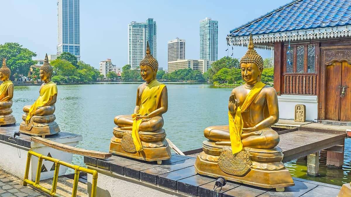 tượng chùa vàng ở colombo