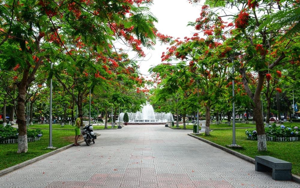 Hải Phòng mùa hoa phượng