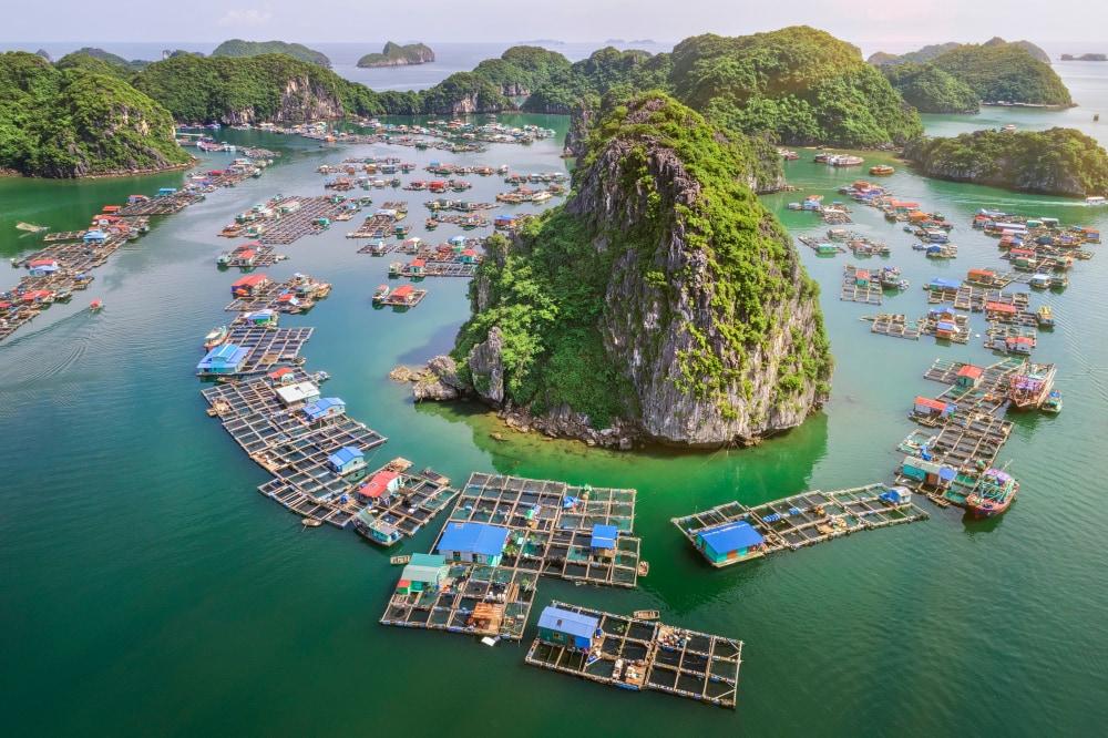 Đảo đá tại Cát Bà Hải Phòng 