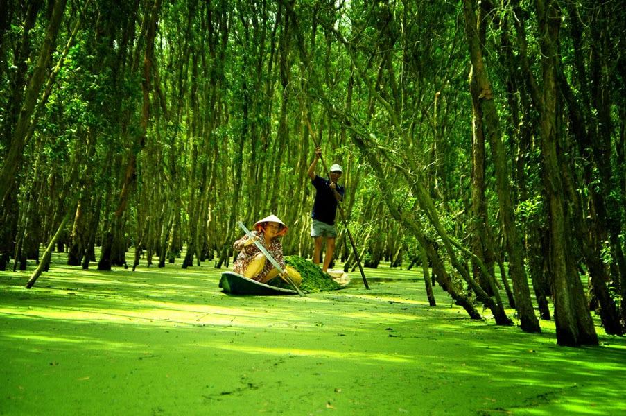Cà Mau mùa nước nổi