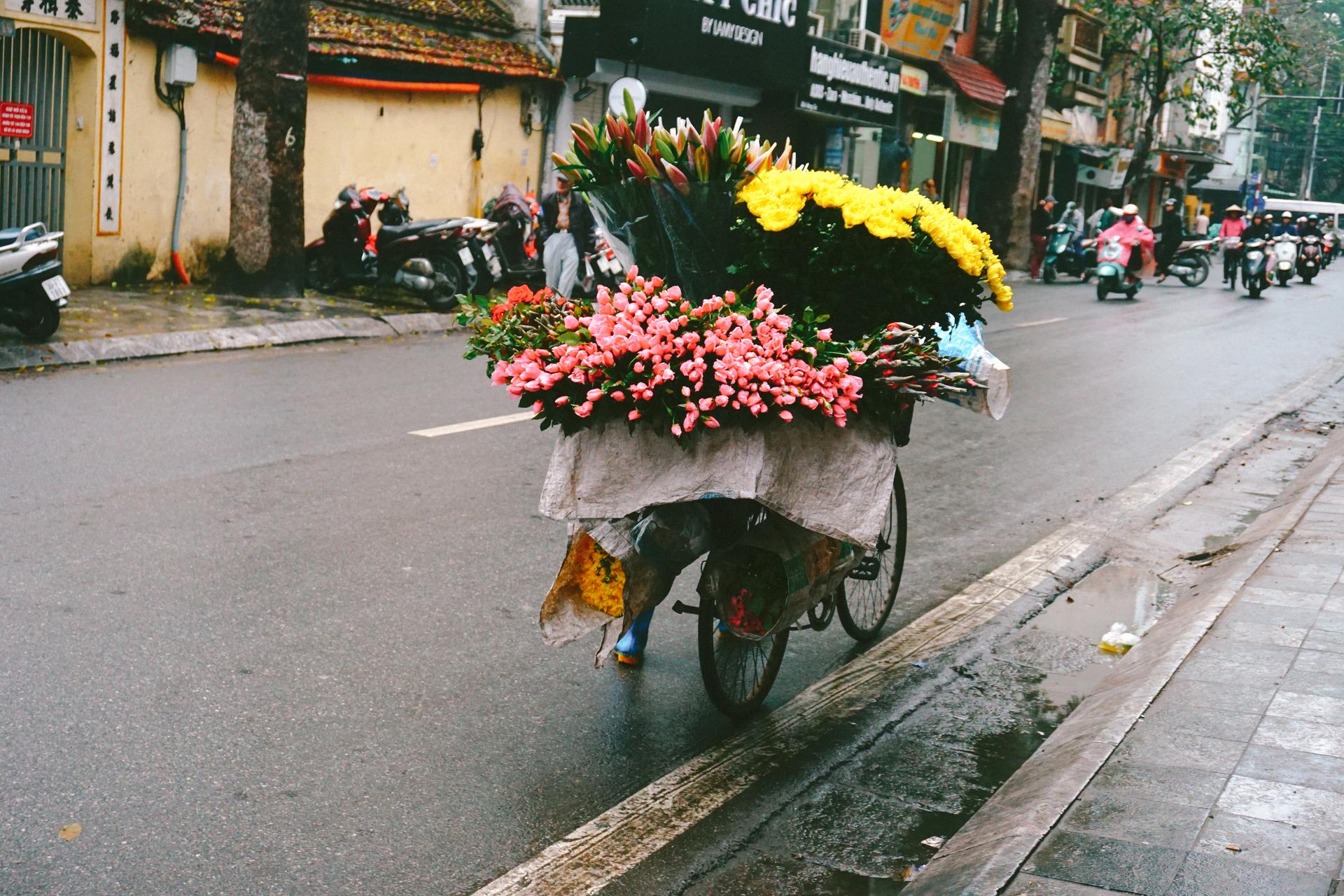 Du lich Ha Noi