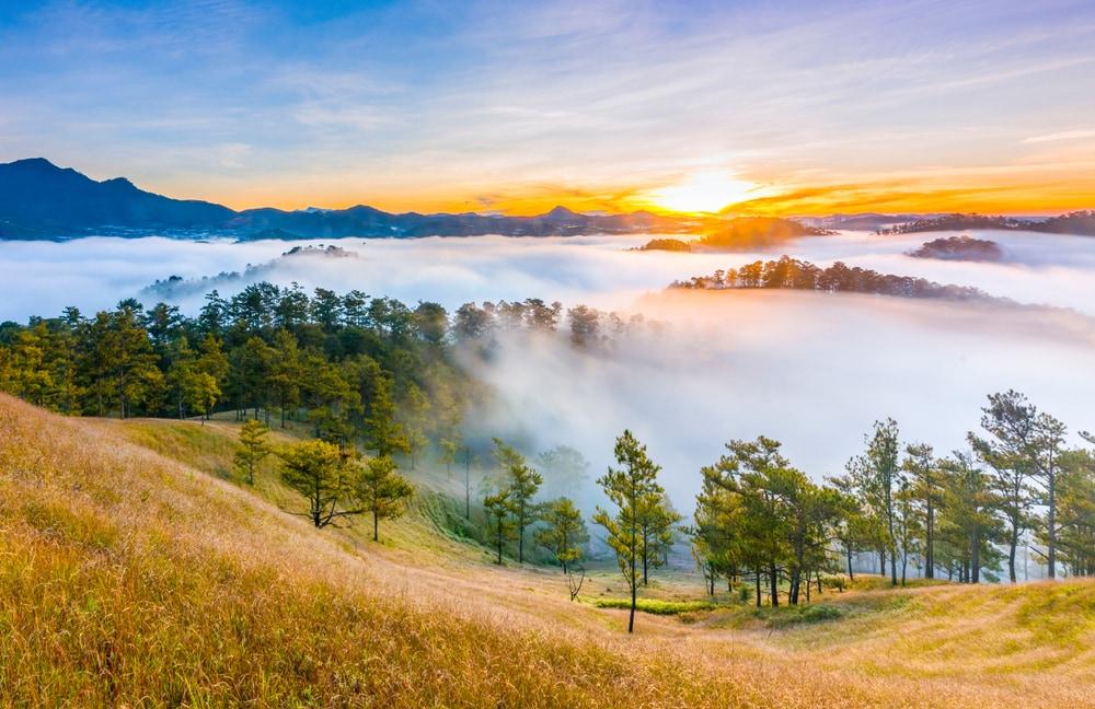 Đà Lạt - thành phố ngàn hoa