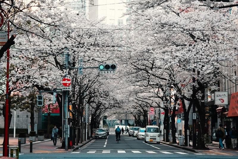 Sendai vào mùa xuân