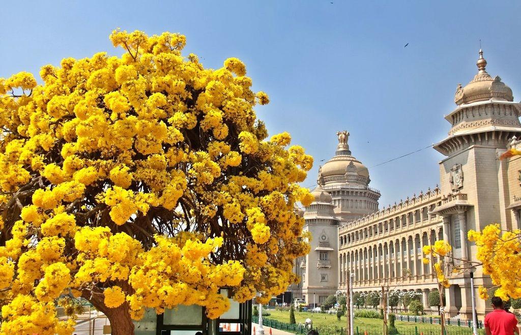 Thiên nhiên Bangalore