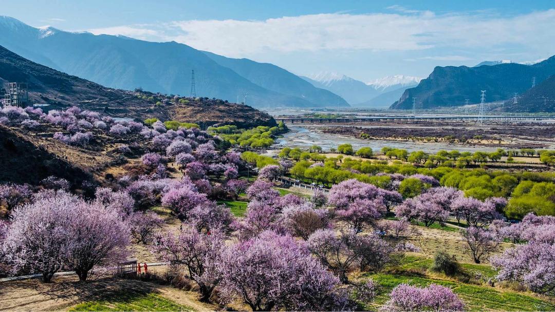 Lhasa vào mùa xuân