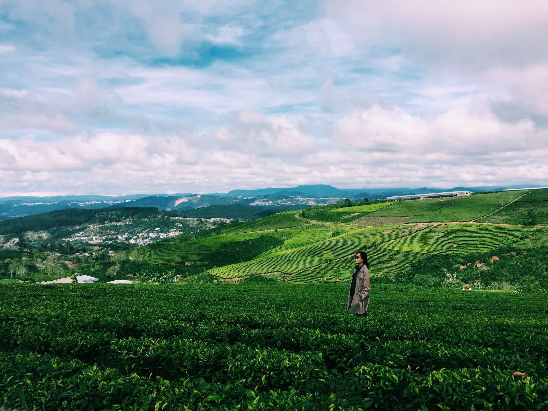 ho tuyen lam da lat