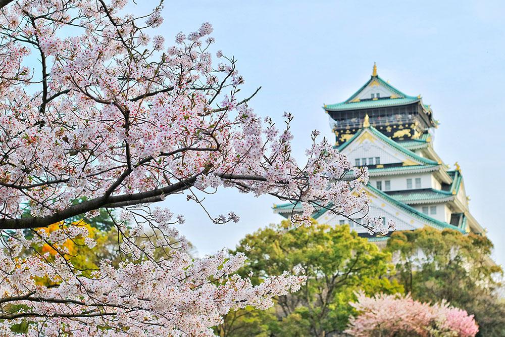 Book your flights to Japan easily with Traveloka.