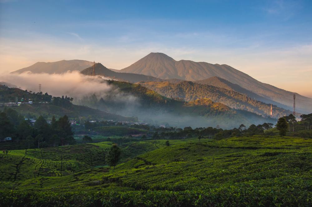 travel bandung cipanas cianjur