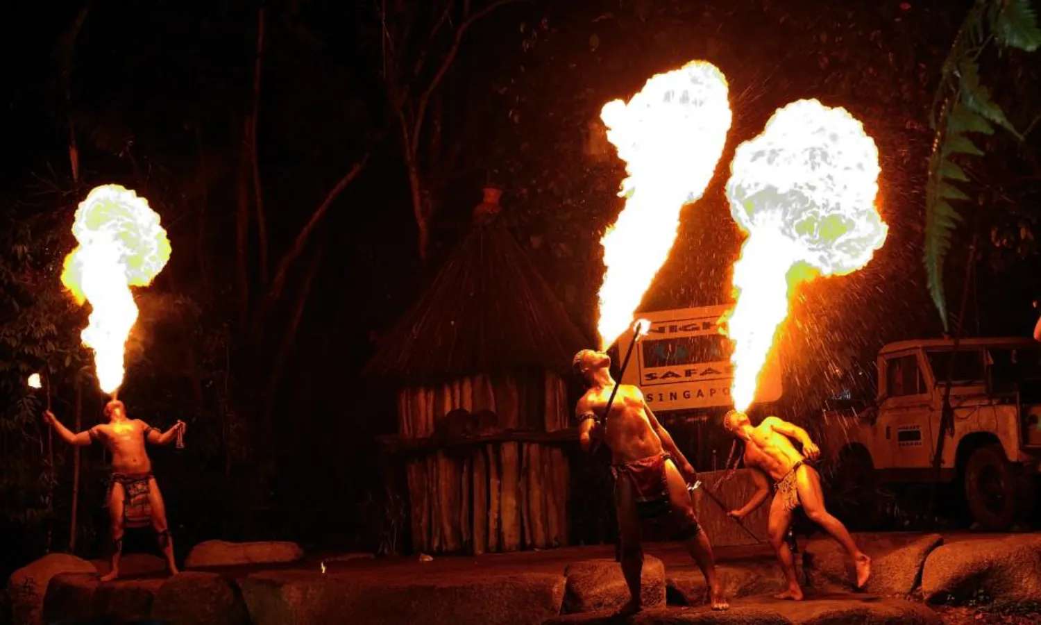 vườn thú đêm night safari 