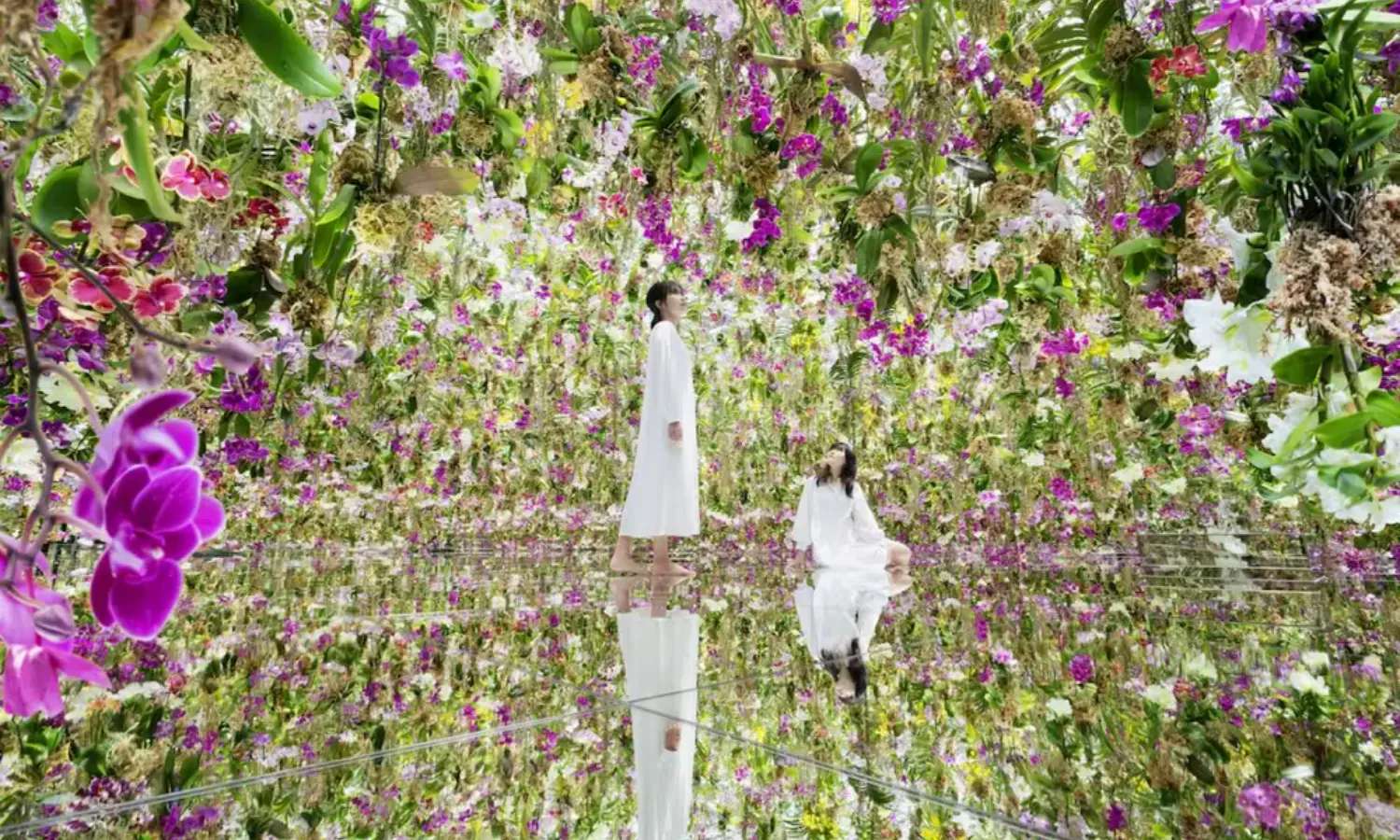 teamlab planets tokyo