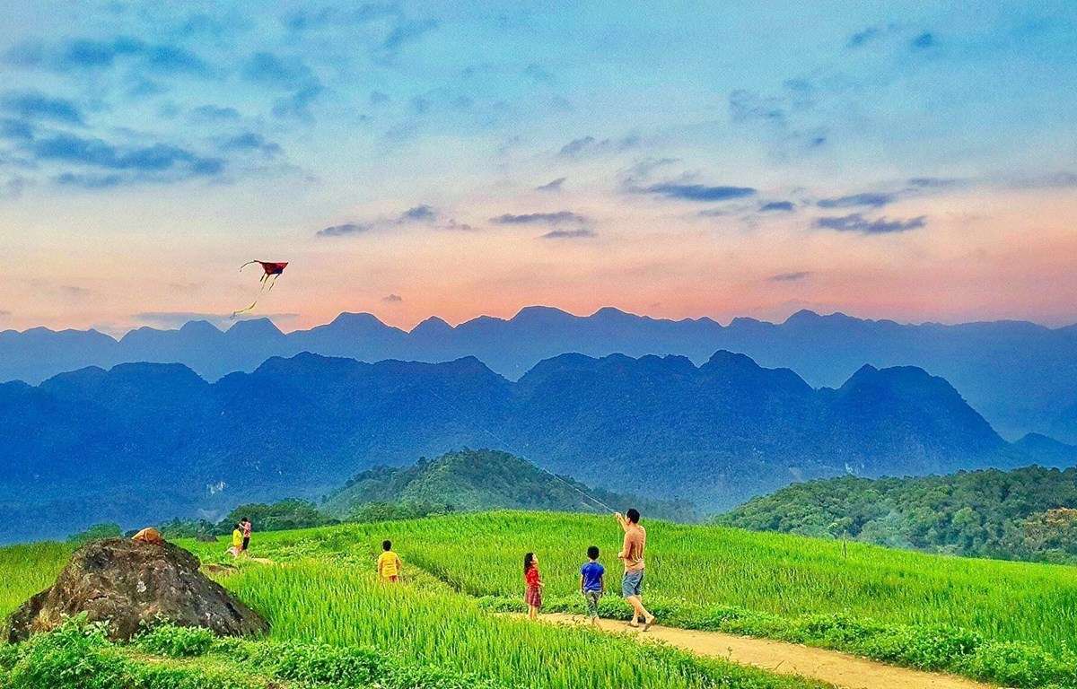 can tho thanh hoa 1